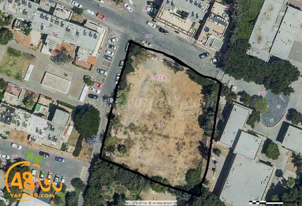 3oshb akhdar (4).jpg